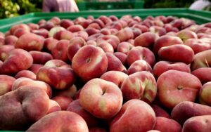 fruites a l’engròs