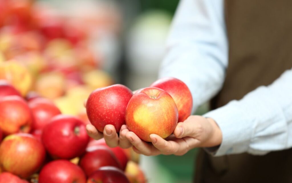 comprar fruites a l'engròs