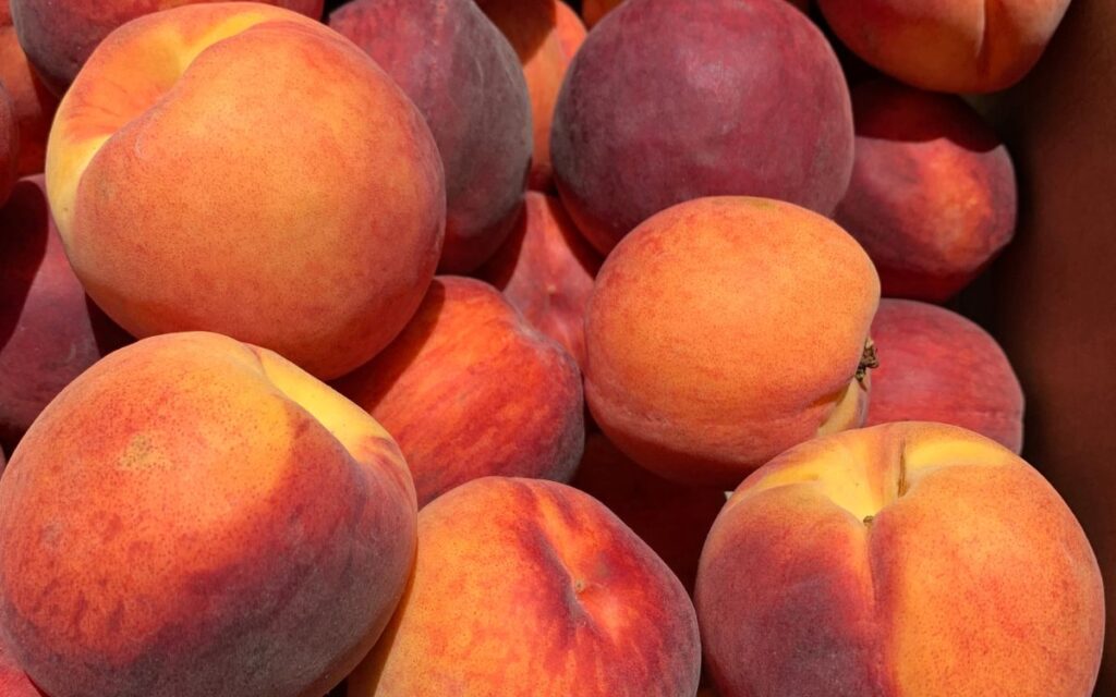 comprar fruites a l'engròs